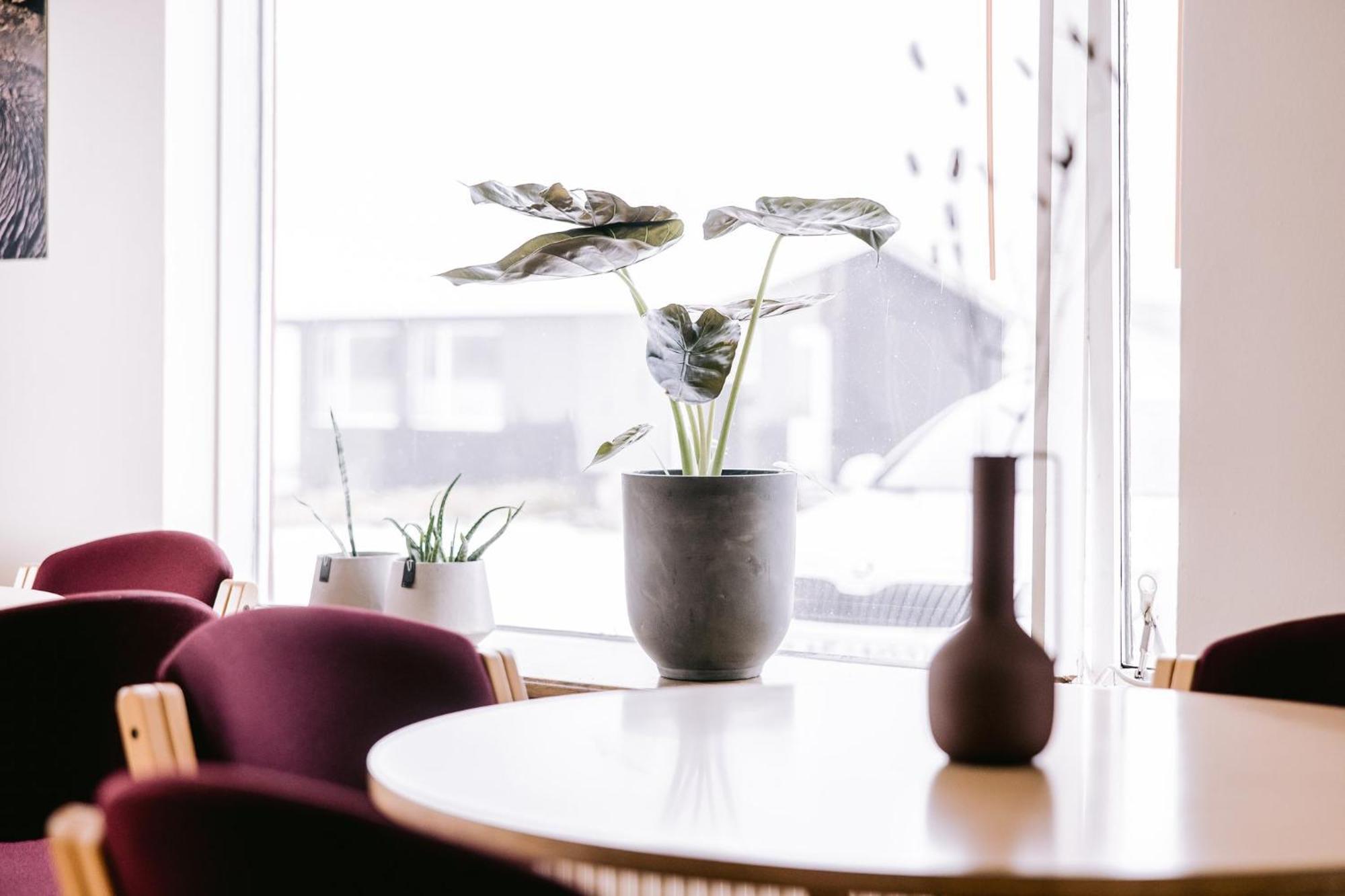 Elda Guesthouse Myvatn Dış mekan fotoğraf